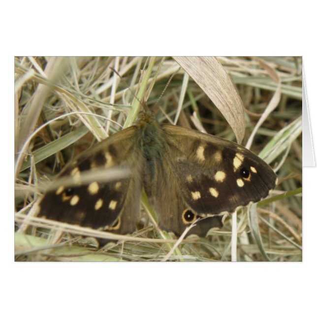 Carte de voeux à papillon en bois moucheté (Devant horizontal)