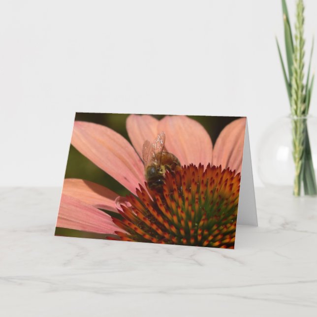 Carte de vœux Abeille sur Echinacea (Devant)