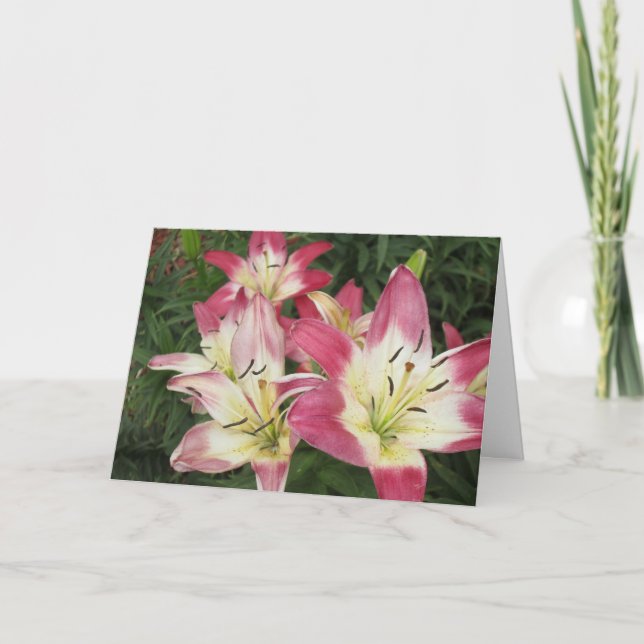 Carte de voeux Abondance (Devant)