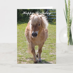 Cartes Poney D Anniversaire Zazzle Fr