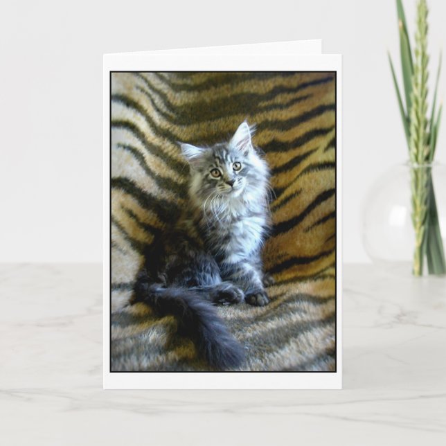 Carte de voeux adorable de chaton de ragondin du (Devant)