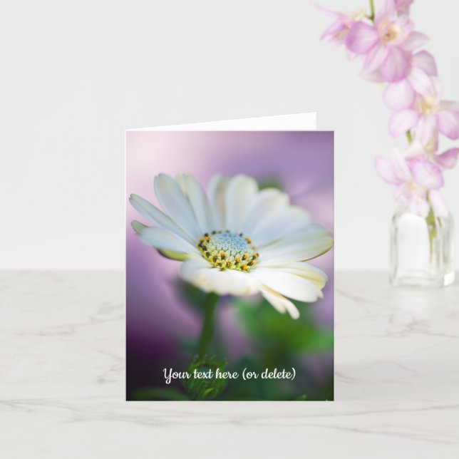 Carte de vœux African Daisy (Orchidée)