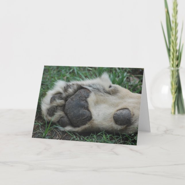 Carte de voeux "African Lion Paw" (Devant)