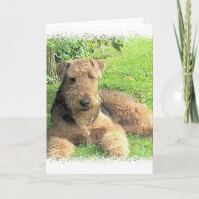 Carte de voeux Airedale Terrier (Devant)