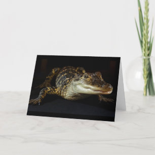Carte de voeux Alligator vide à l'intérieur