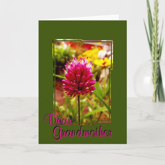 Carte de voeux Allium rose 002 (Devant)