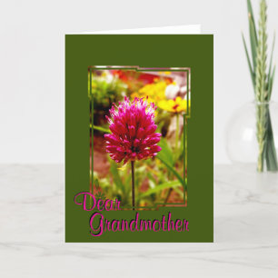 Carte de voeux Allium rose 002