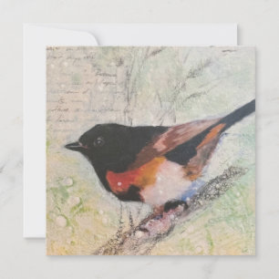 Carte de vœux American Redstart