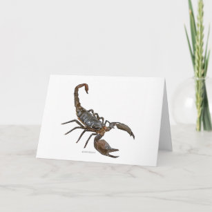 Carte de voeux amicale d'aquarelle de scorpion
