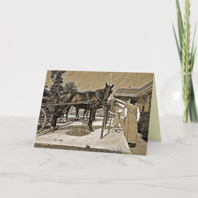 Carte de voeux Amish Family Pet Horse (Devant)