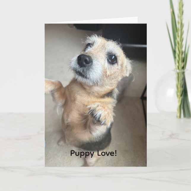 Carte de vœux Amour de chiot (Devant)