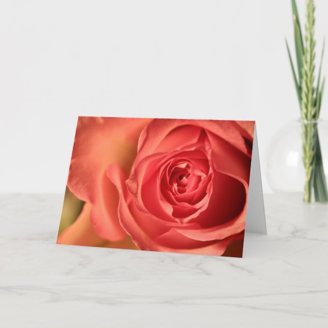 Carte de vœux amour rose rose tendre (Devant)