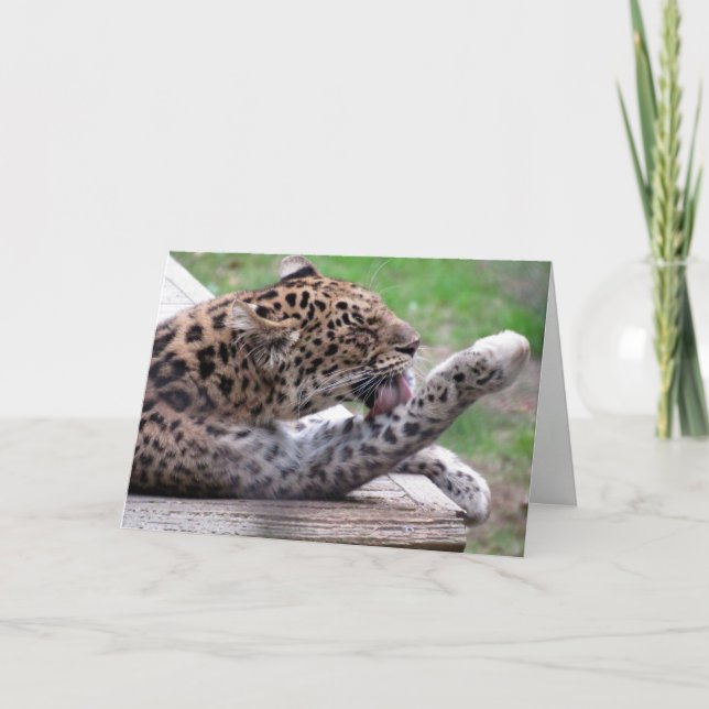 Carte de voeux Amur Leopard (Devant)