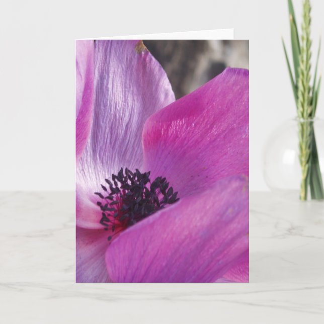 Carte de voeux Anemone Closeup (Devant)