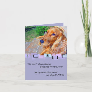 Carte de voeux anglaise Cocker Spaniel Anniversair