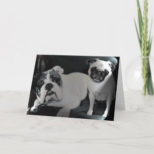 Carte de voeux anglaise de bouledogue et de carlin