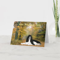 Carte de voeux anglaise Springer Spaniel