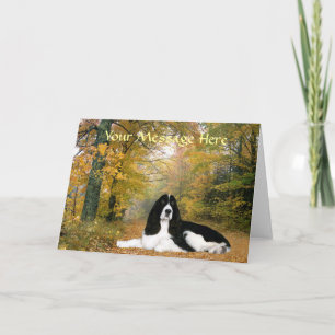 Carte de voeux anglaise Springer Spaniel