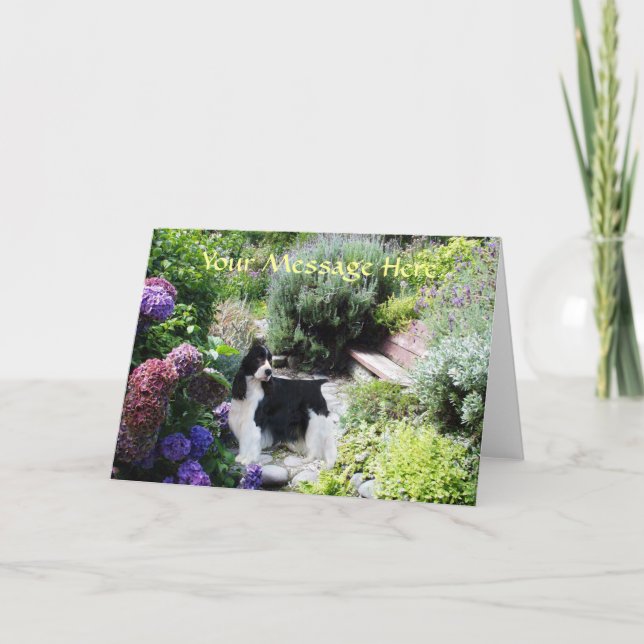 Carte de voeux anglaise Springer Spaniel (Devant)