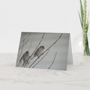 Carte de voeux animale du moineau 1 d'oiseau