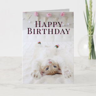 Carte de voeux Anniversaire Chat En Chaussettes
