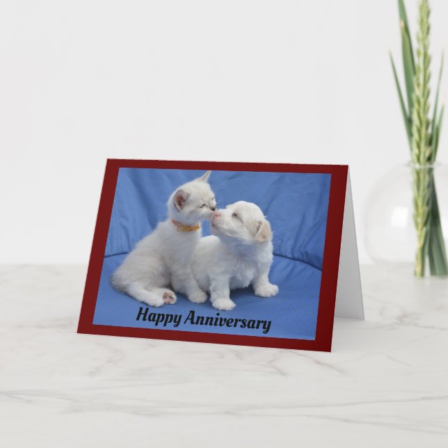 Carte De Voeux Anniversaire Kitty And Puppy (Devant)