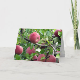 Carte de voeux Apple Tree