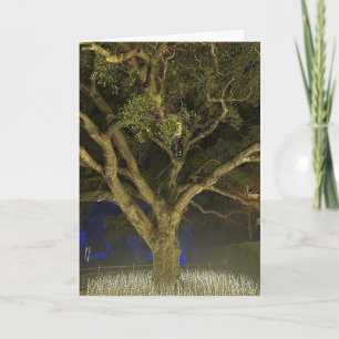 Carte de vœux Arbre de Lumière