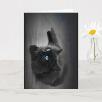 Carte de vœux artistique de chat aux yeux bleus de