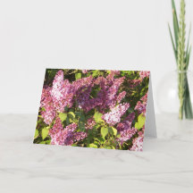 Carte de voeux assez pourpre de lilas