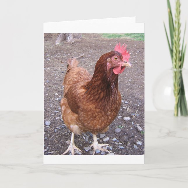 Carte de voeux au poulet (Devant)