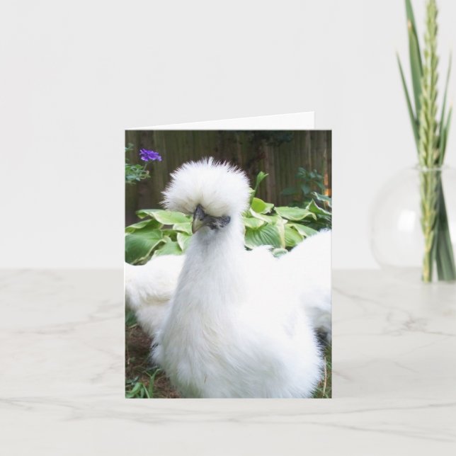 carte de voeux au poulet silkie (Devant)