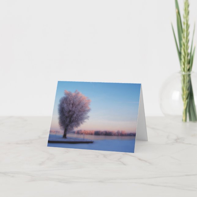 Carte de vœux aux arbres enneigés (Devant)