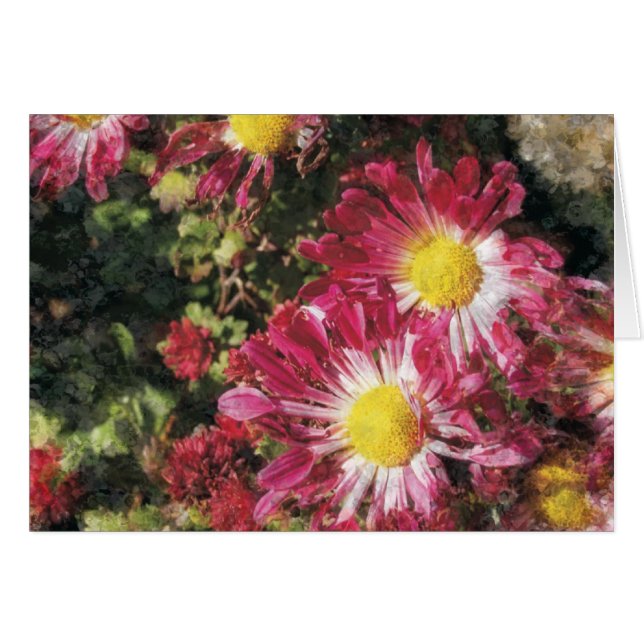 carte de voeux aux chrysanthèmes (Devant horizontal)