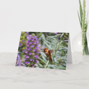 Carte de voeux aux colibris