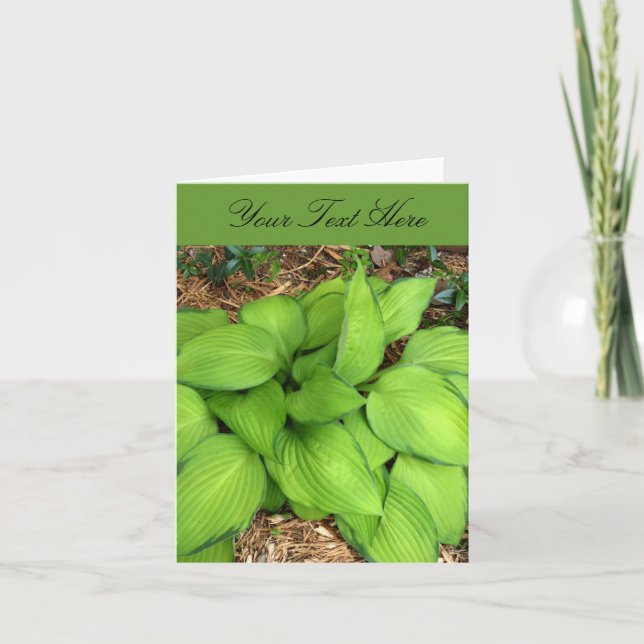 Carte de vœux aux feuilles vertes d'Hosta (Devant)
