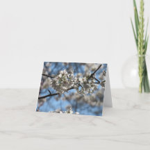 Carte de vœux aux fleurs de cerisier envoûtantes