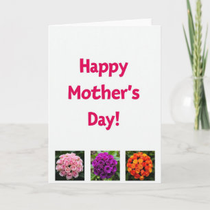 Carte de vœux aux fleurs fuchsia