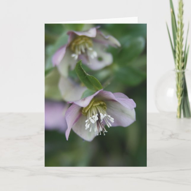 Carte de voeux aux fleurs violettes (Devant)