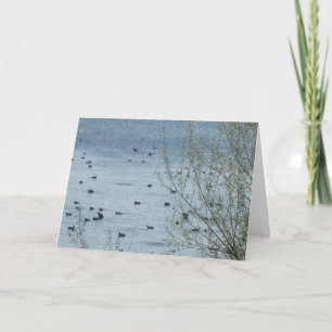 Carte de voeux aux oiseaux du lac