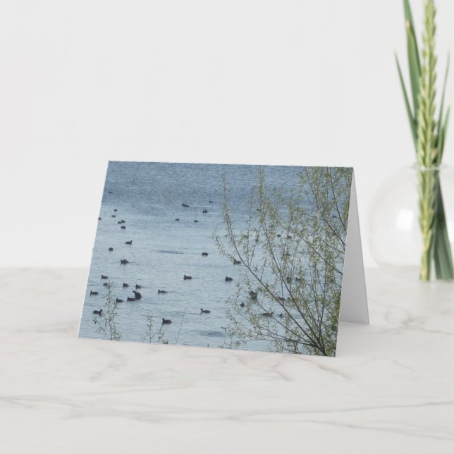 Carte de voeux aux oiseaux du lac (Devant)