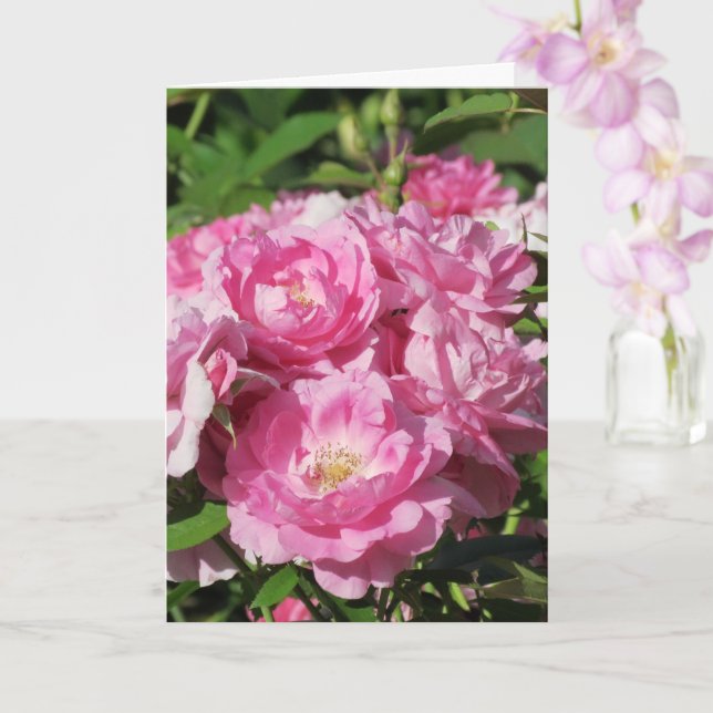 Carte de vœux aux roses pliées (Orchidée)