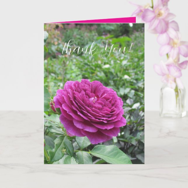 Carte de vœux aux roses pliées (Orchidée)