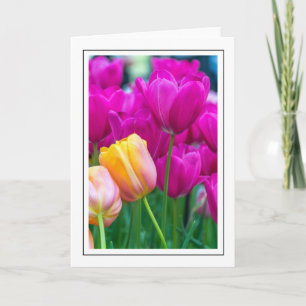 Carte de vœux aux tulipes violettes et orange