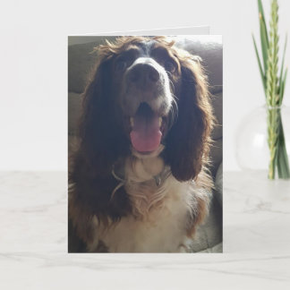 Carte de vœux avec amour