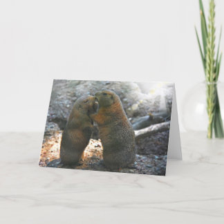 Carte de vœux avec couple de marmottes mignonnes