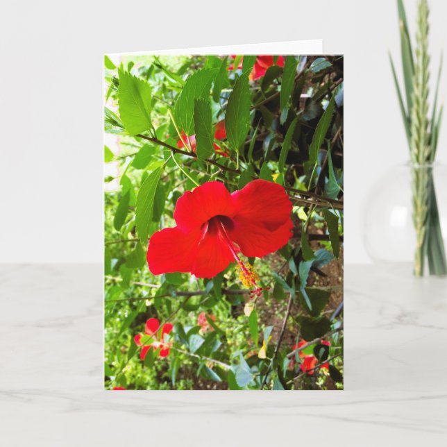 Carte de vœux avec couverture de fleur rouge (Devant)