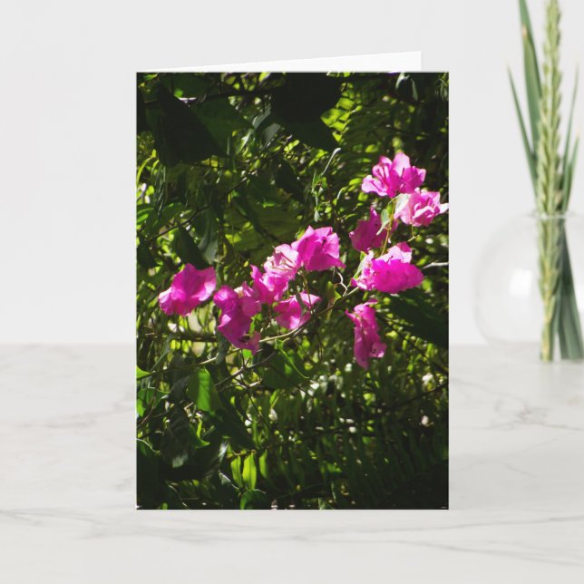 Carte de vœux avec couverture florale rose (Devant)
