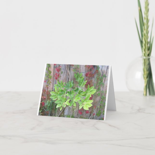 Carte de voeux avec de beaux feuilles sur une clôt (Devant)