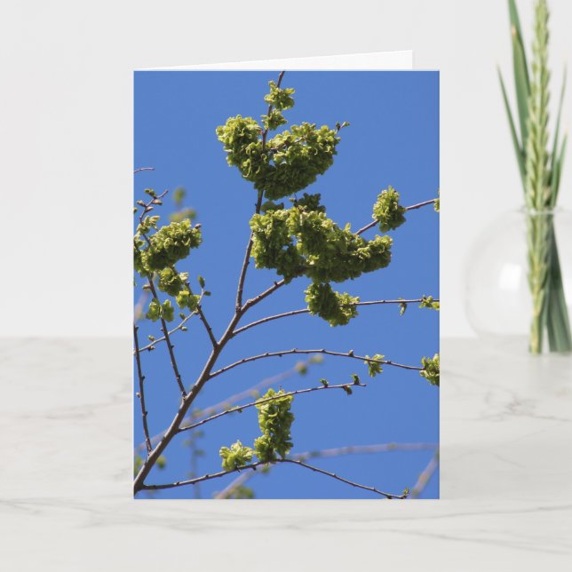 Carte de vœux avec feuilles d'arbre en forme de cœ (Devant)